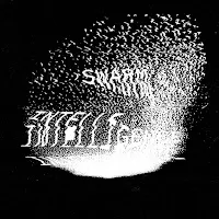 Swarm Intelligence — Disinformation Era — обложка